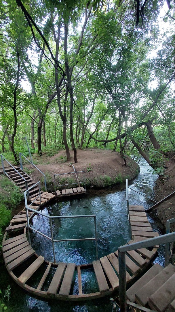 Родник "Голубой глаз": Магия прозрачной красоты в Оренбургской области