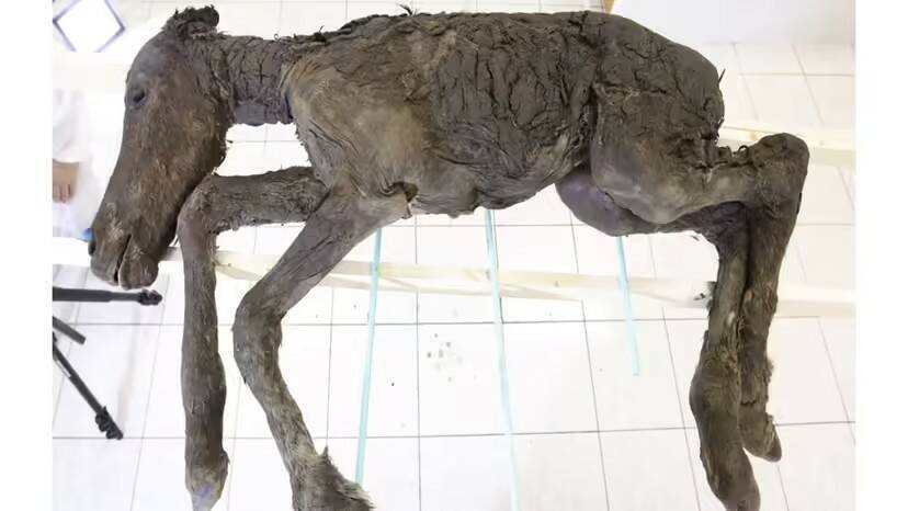 🕳️ Сибирский кратер "Батагайка" продолжает расти, и это нехорошо. Батагайский кратер или «двери в ад»