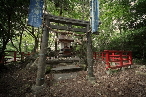 Японский остров Тасиро собственность кошек.