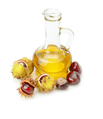 Конский каштан. Мазь, масло. Показания к применению, процесс лечения