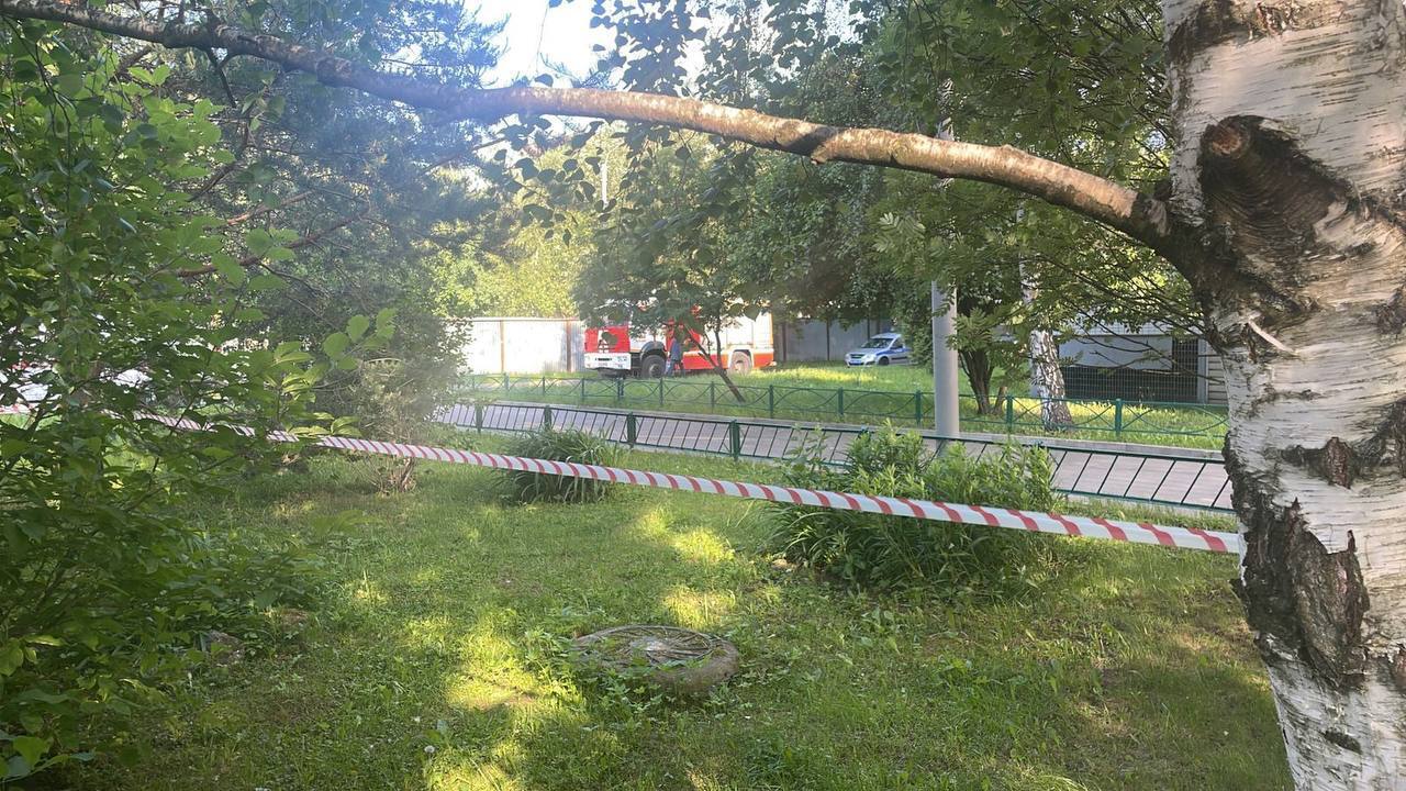 Жуткий случай в московском Южном Бутово