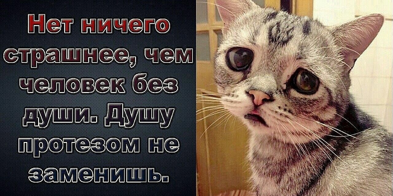 Человек без ноги – надежда на протез. Без руки – надежда та же. Только если он без души – надежды нет. Таких протезов не существует