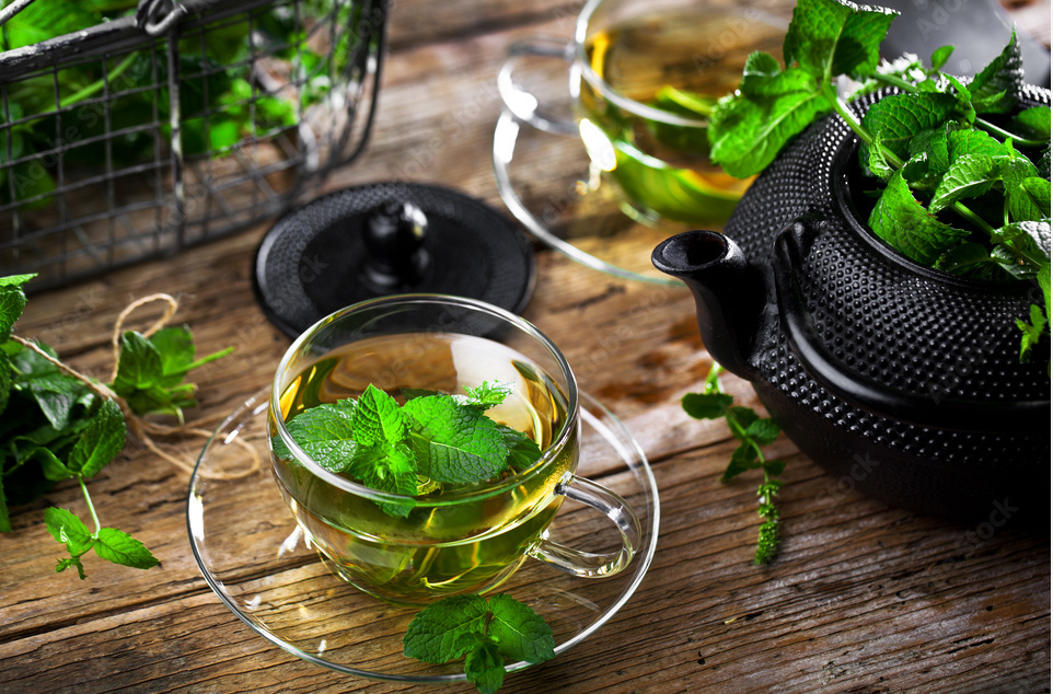 Как сохранить мяту на зиму? Самые лучшие способы!