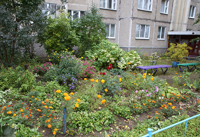 Что можно сажать под окнами многоэтажки?
