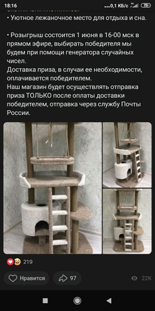 Котики в шоке! Мошенники уже и на них наживаться начали. Что дальше?