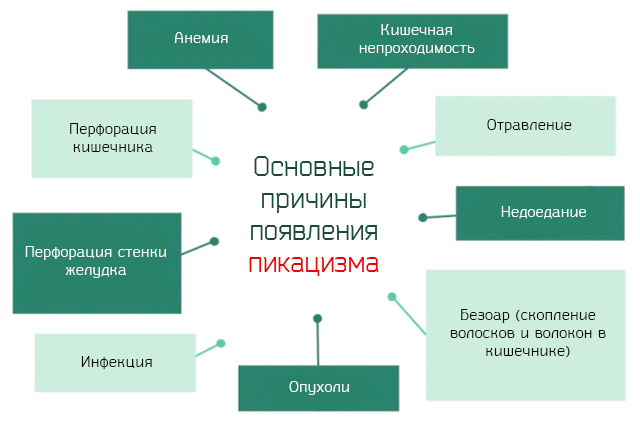 Что такое Пикацизм (Извращенное расстройство пищевого поведения)