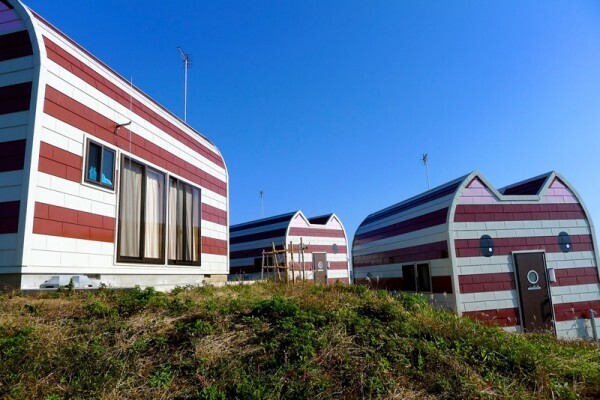 Японский остров Тасиро которым обладают кошки.