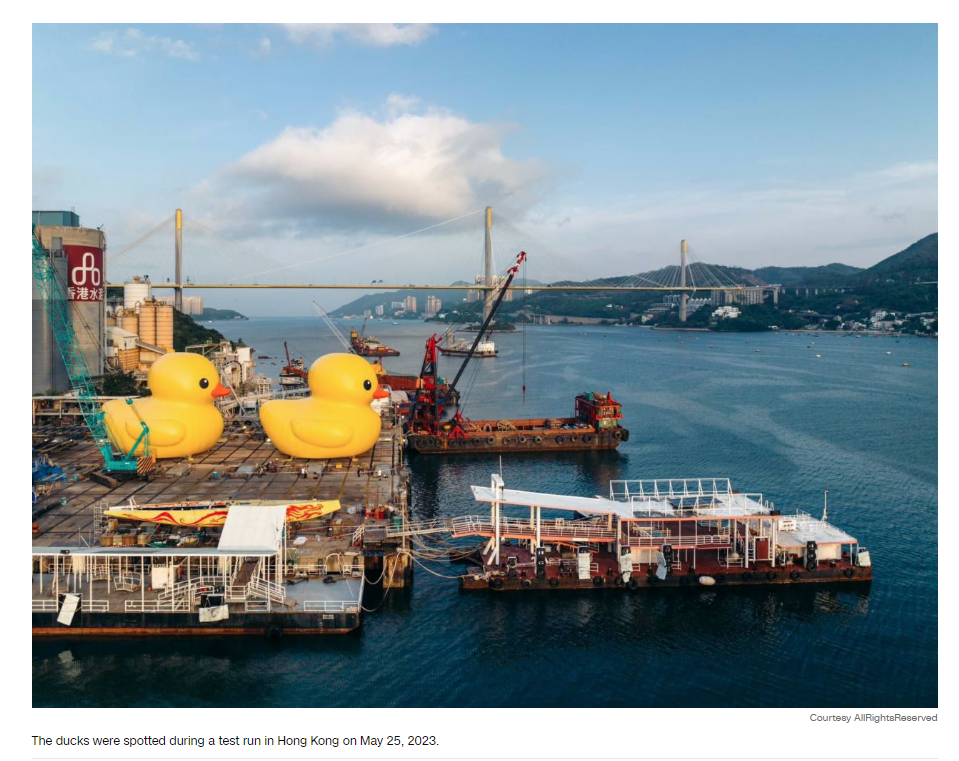 Знаменитая резиновая уточка Гонконга возвращается — и теперь их две