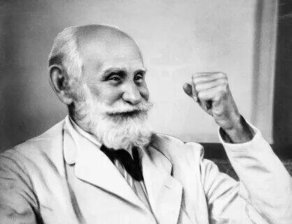 Нобелевские лауреаты в России.