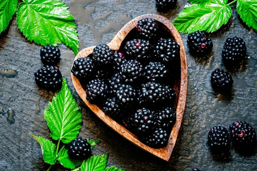 "Ежевика: не только вкусный десерт, но и источник полезных свойств для здоровья"
