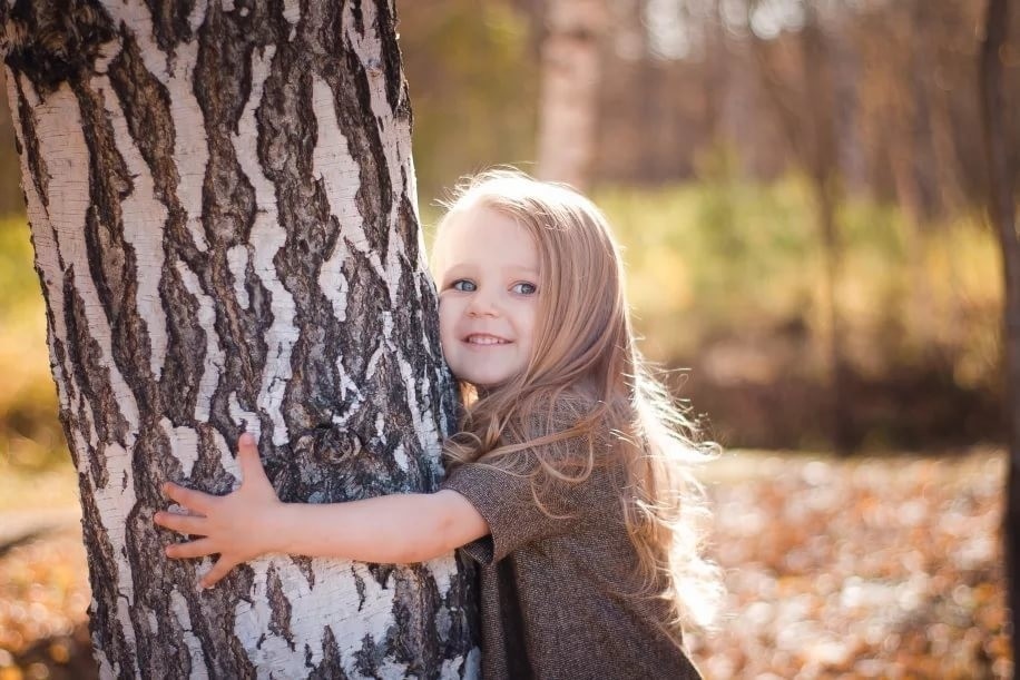 Берегите лес. Наши зеленые друзья.