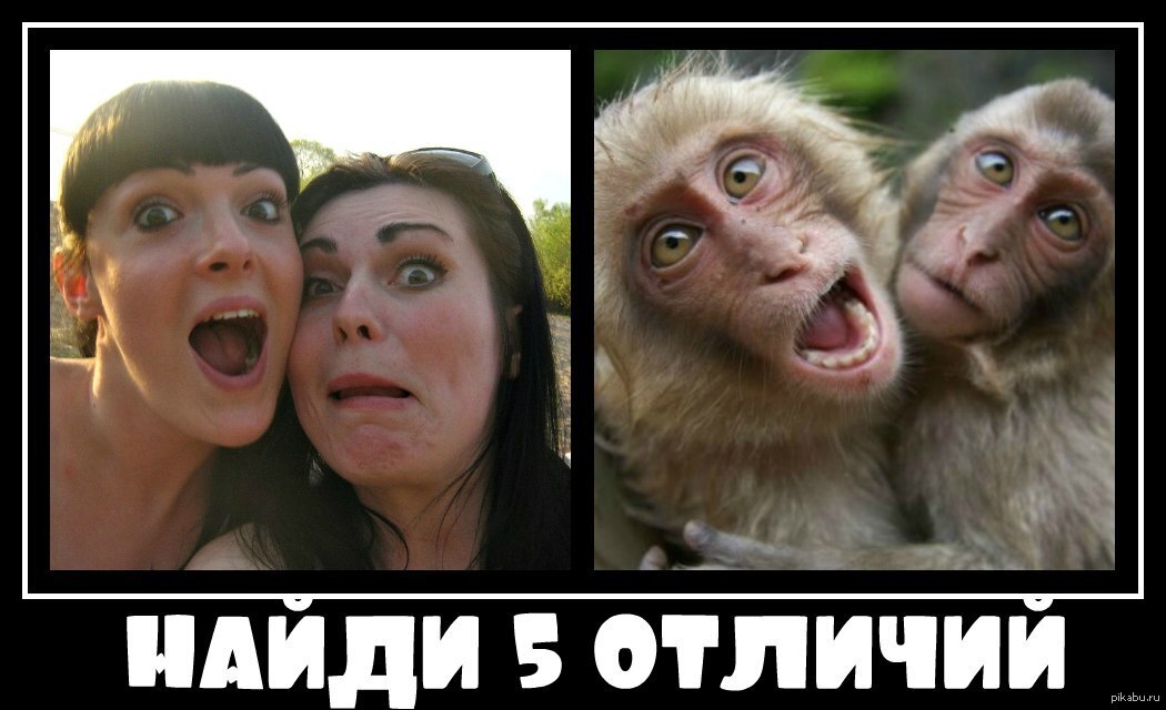 Может ли пьяный человек думать, как трезвый?