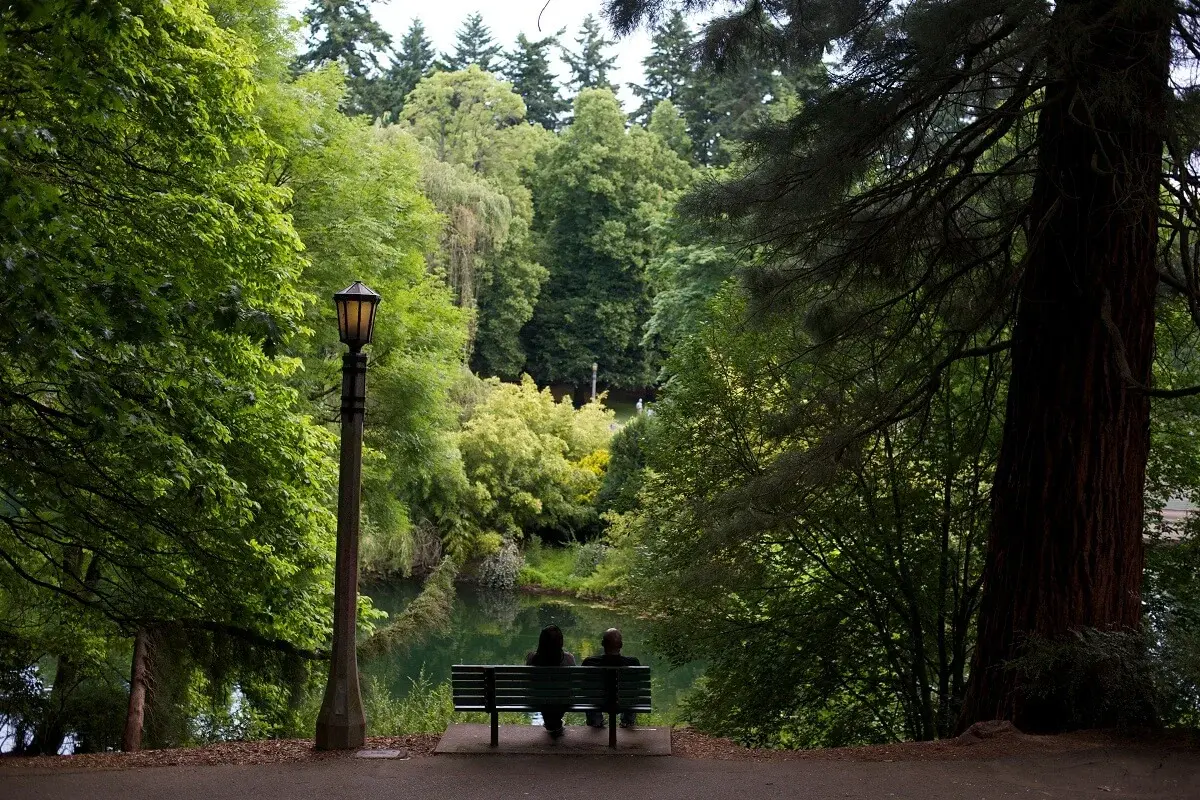 Берегите лес. Наши зеленые друзья.