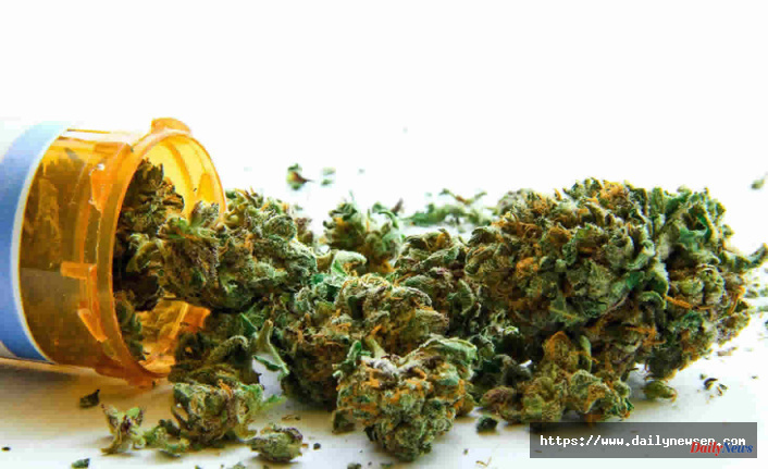 Опасность синтетического каннабиса растет.