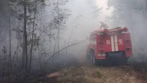 Лесные пожары в Казахстане: 14 человек погибли.