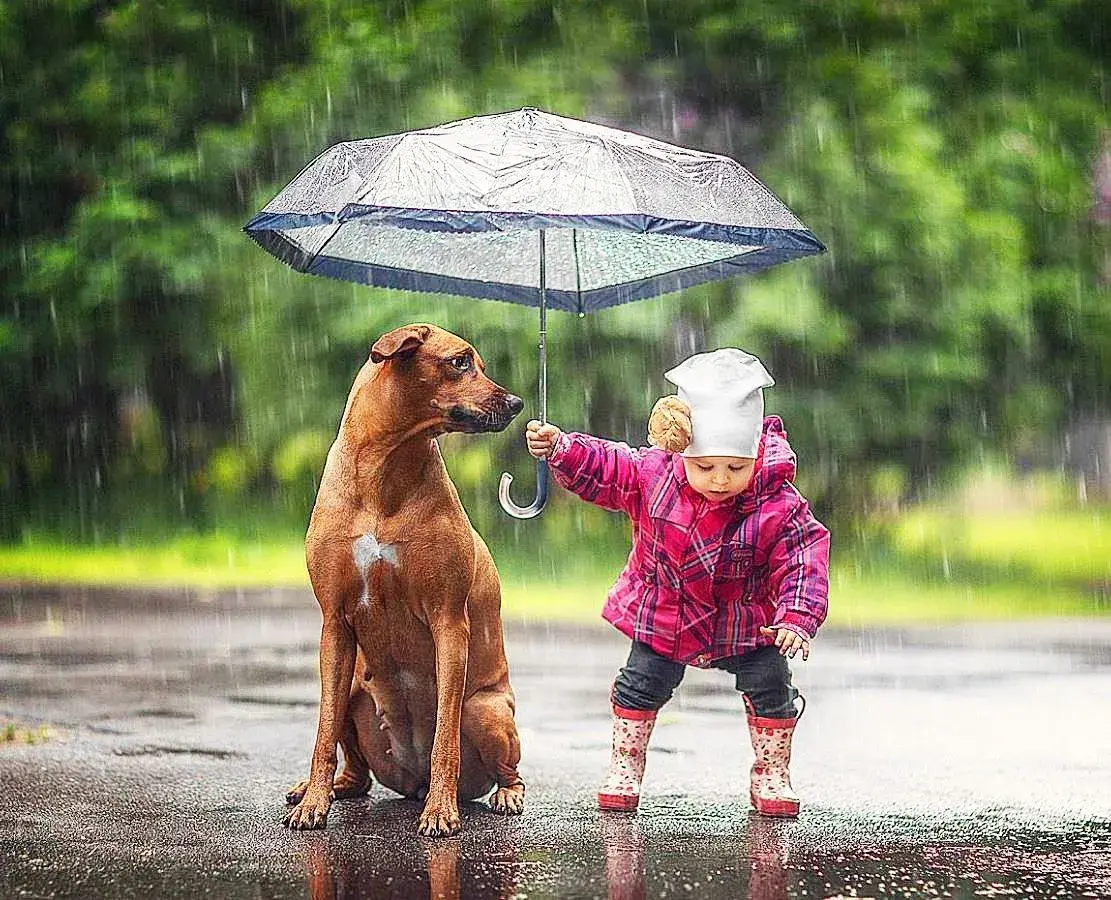 А вы знаете, какими духовными качествами должен обладать каждый человек?