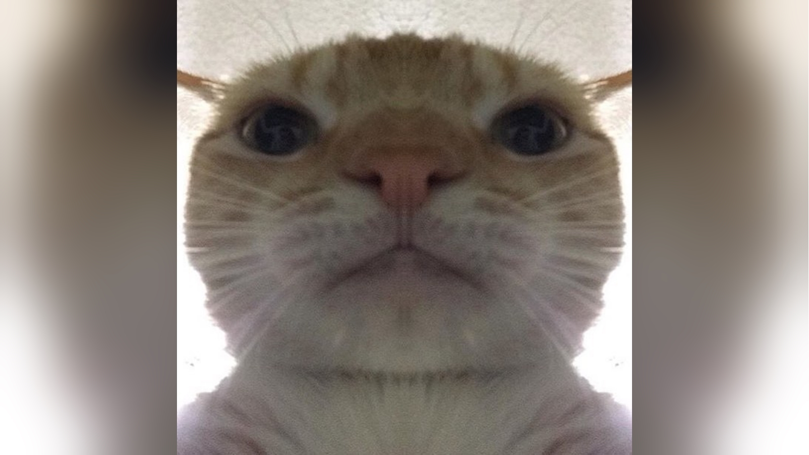 Что нужно и что нельзя делать с камерами домашней безопасности, которые видят все