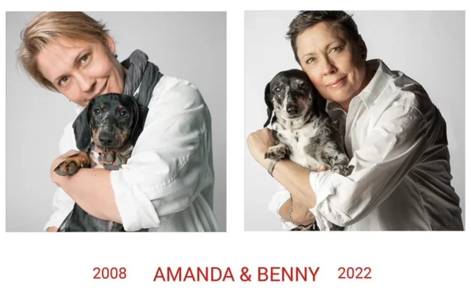 Собачья жизнь: как изменились щенята спустя долгие годы, лучшие фотографии