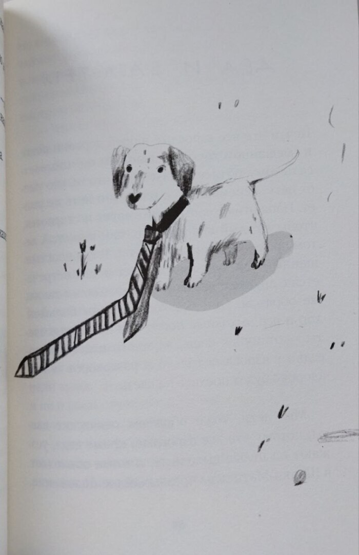 Не просто книжная находка, я обнаружила алмаз!