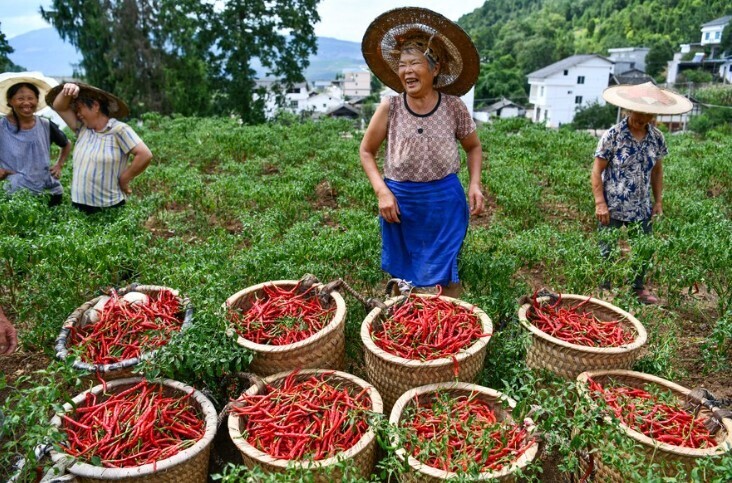 Россия богатая или бедная страна? А вы живёте или выживаете?