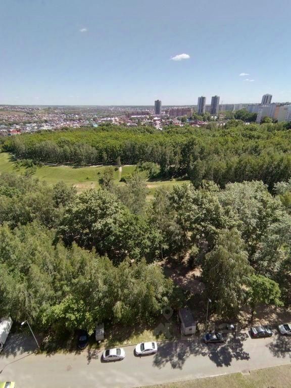 Казань Ноксинский Лес Природы