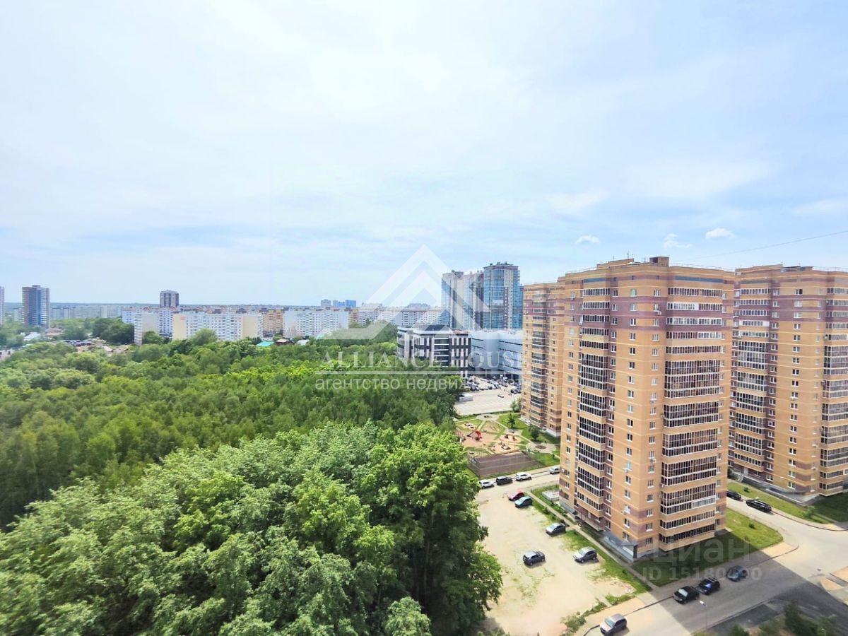 Казань Ноксинский Лес Природы