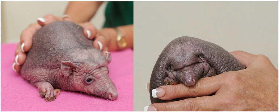 Не такой как все.