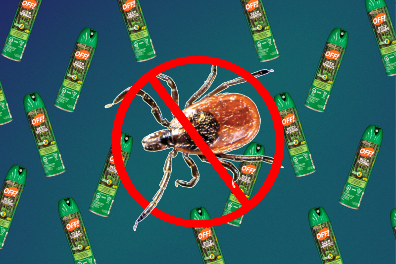 Наименее токсичные способы защитить себя от клещей