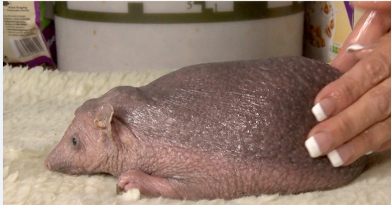 Не такой как все.