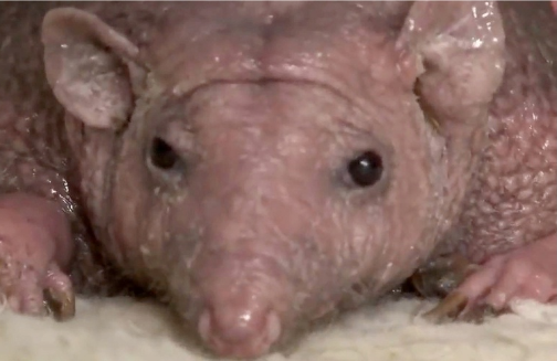 Не такой как все.