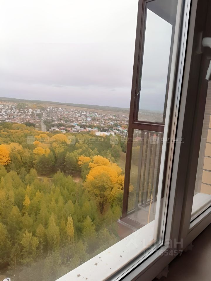 Казань Ноксинский Лес Природы