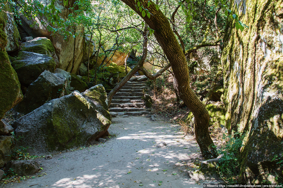 Самый безопасный отдых этого сезона будет в Крыму. "Не нужен мне берег турецкий». Крым- это наша история