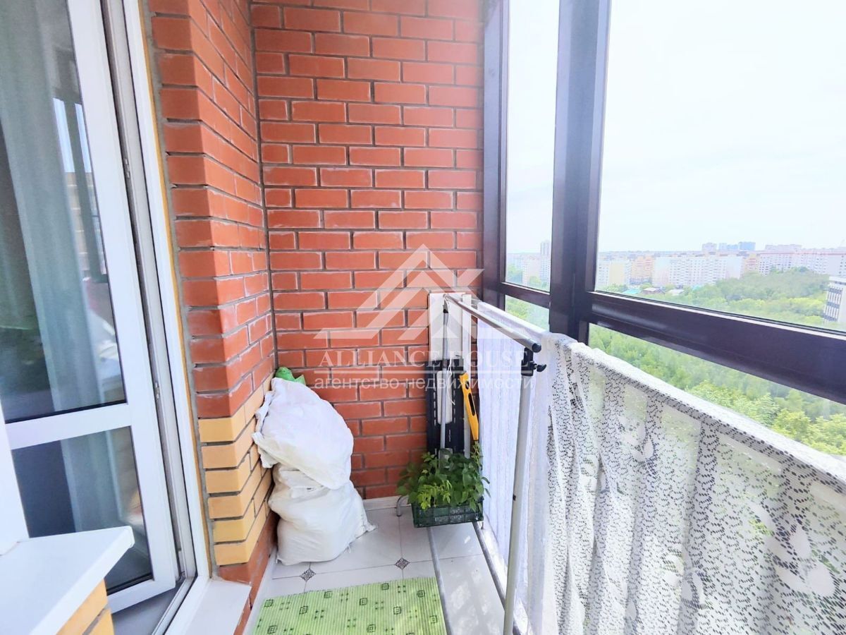 Казань Ноксинский Лес Природы