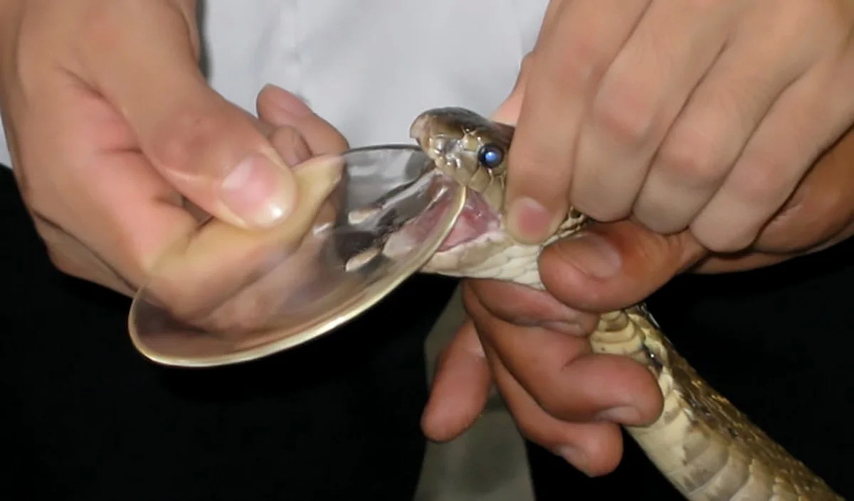 Об одном главном секрете здоровья, силы и долголетия человека. Об этом нигде не говорится!