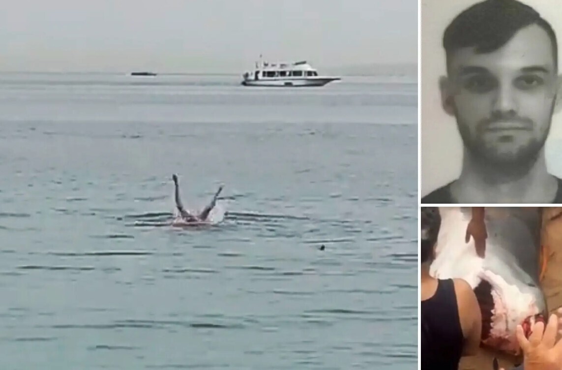 Леденящие истории: Как часто акулы нападают на людей