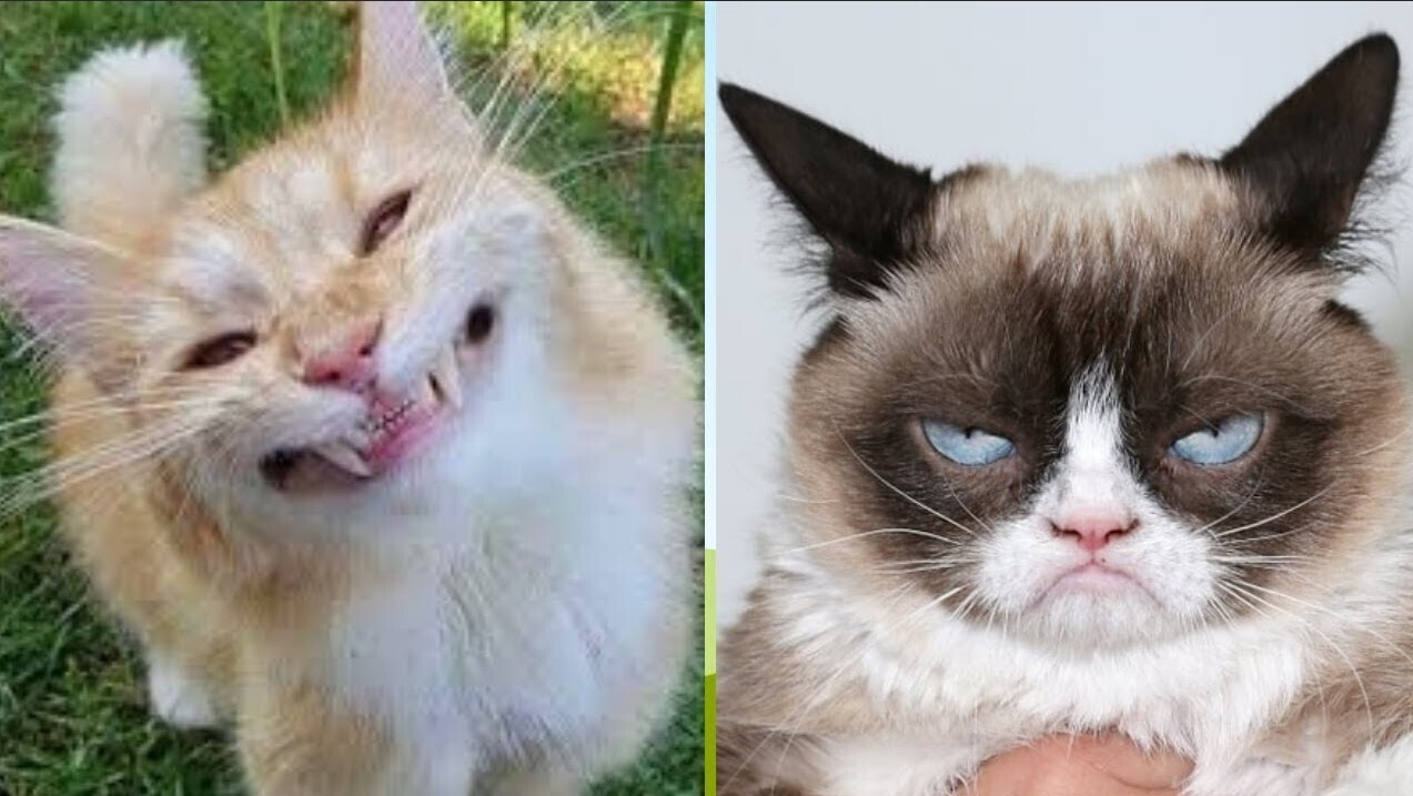 Зачем мы смеемся не в тот момент: управление эмоциями и смехом