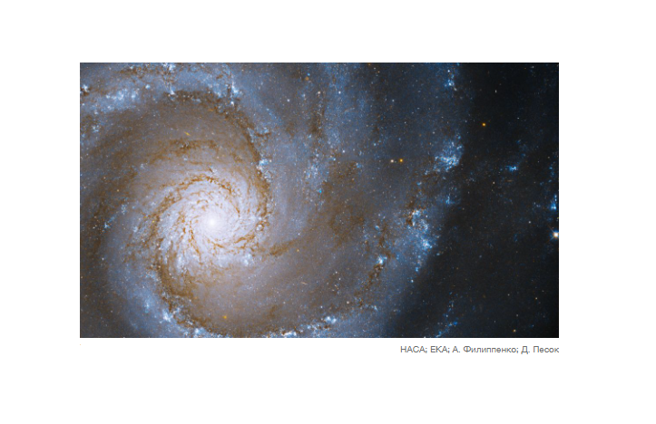 В ночном небе появилась новая сверхновая