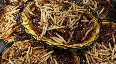 В Европе сверчки и личинки попали в пищевые продукты. Клопы, черви и тараканы переживают что будут следующими. Сенсация наших дней.