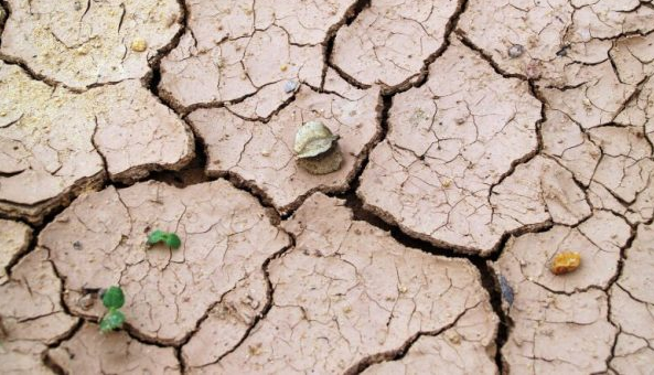 Засуха: «Война за воду» — сигнал опасности для Европы