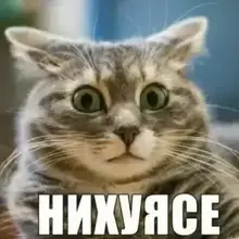 Марина, г. Санкт-Петербург