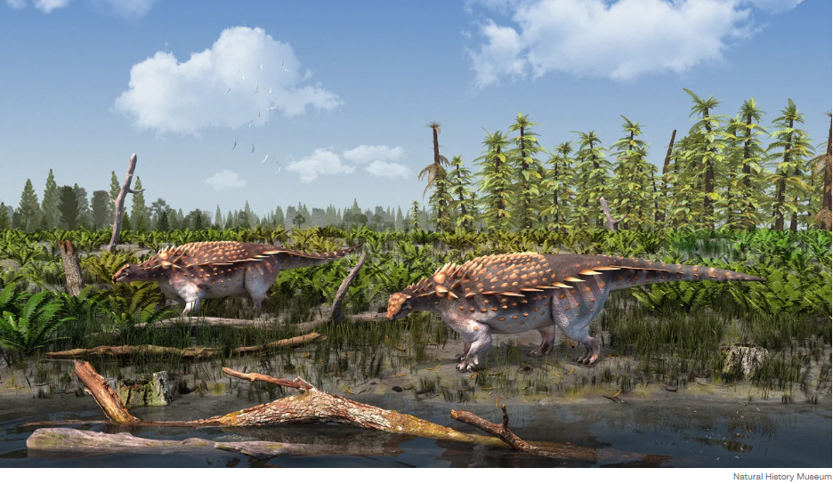 Новый динозавр с лезвиеподобными шипами для брони обнаружен на острове Уайт в Великобритании