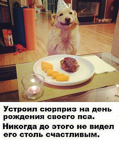 Подборка смешных фото, приколы разной тематики.