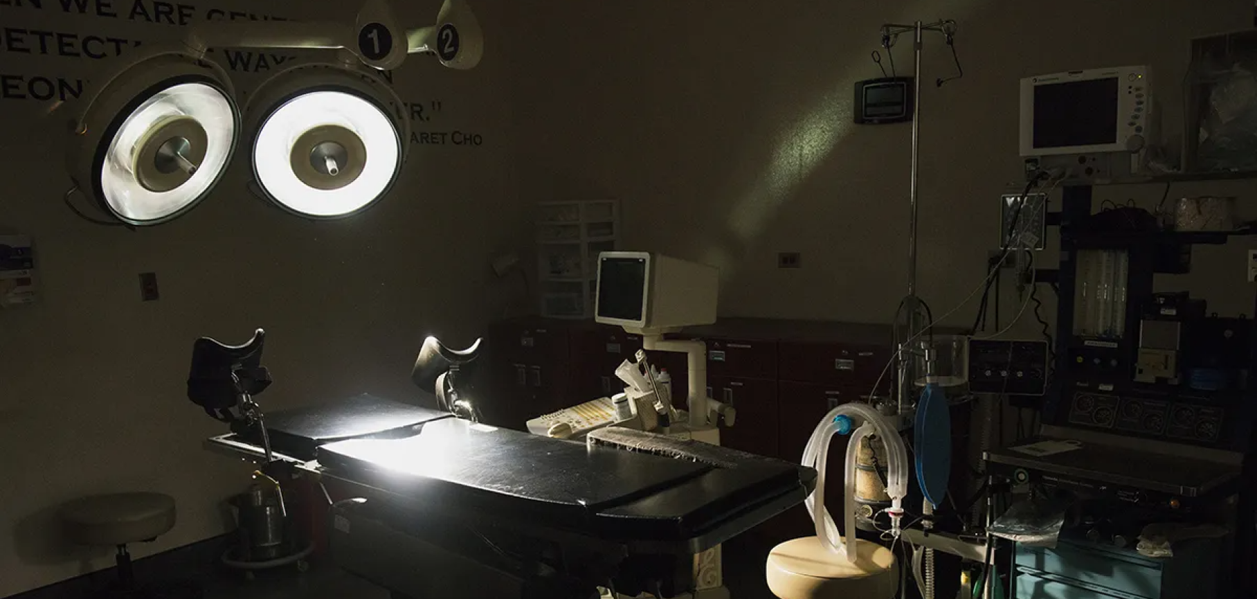 Какой доход Google от рекламы против абортов и «фальшивых» клиник