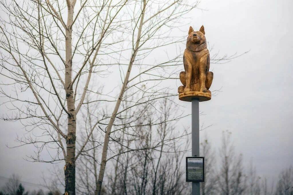 Память о настоящем друге