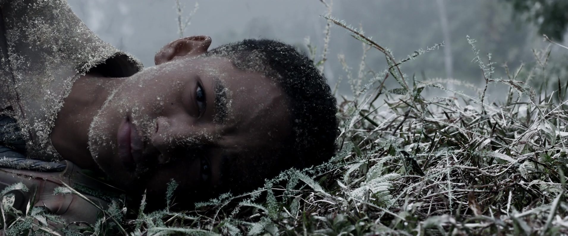 После нашей жизни