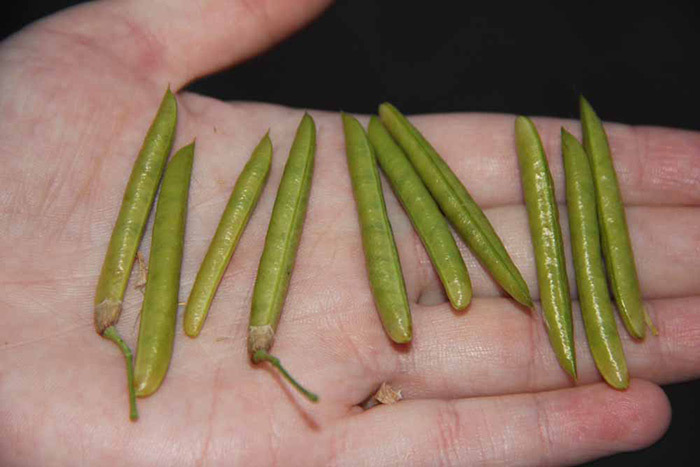 Приколы из 90-х, о которых сейчас не знают современные дети