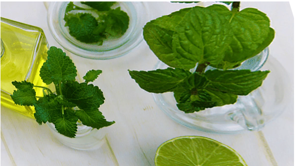 Кристаллы мяты: как их использовать?