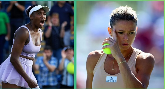 Venus: legend is back