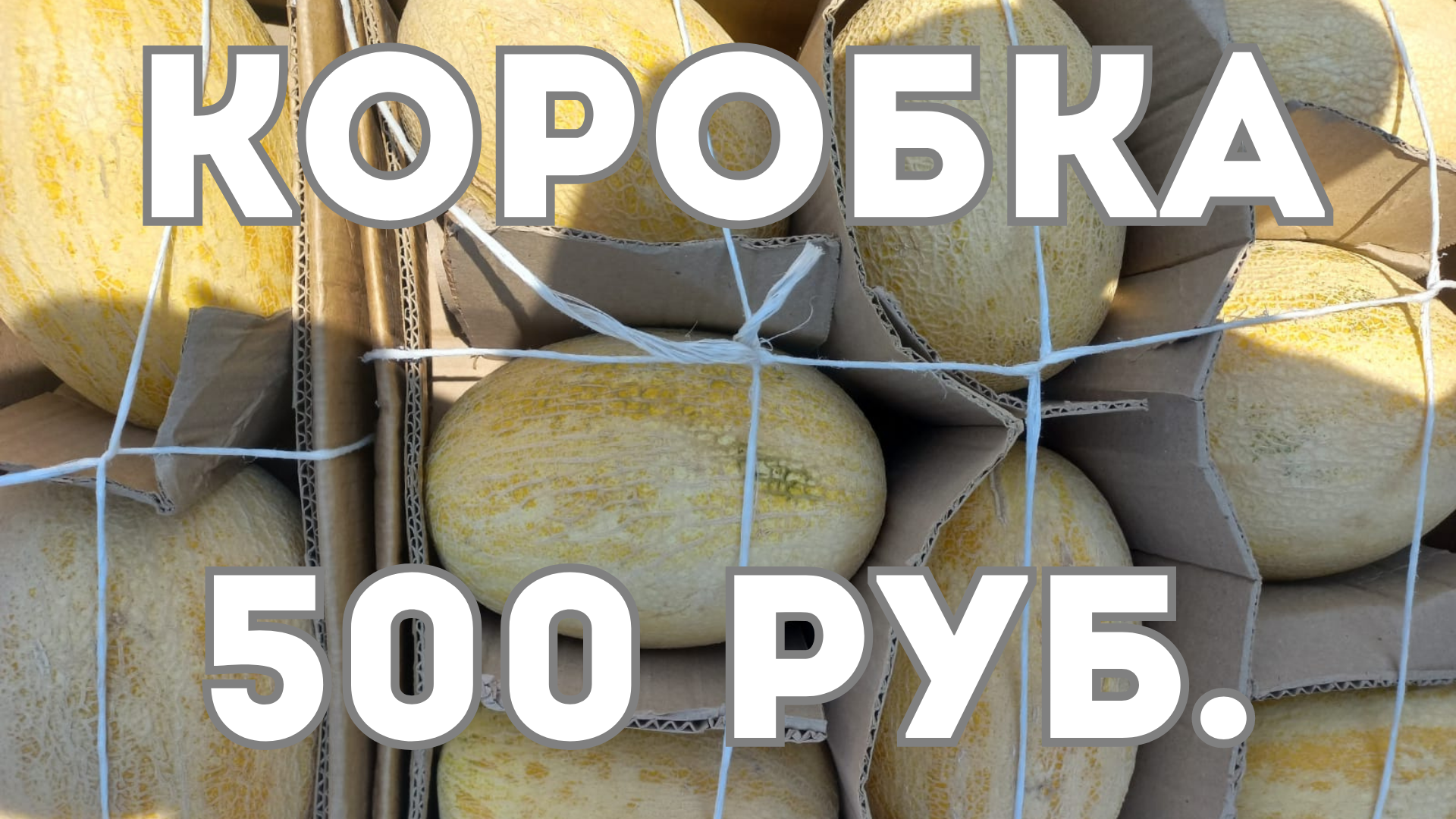 Мустафа открывает нам глаза или какая оптовая цена фруктов в Сибири