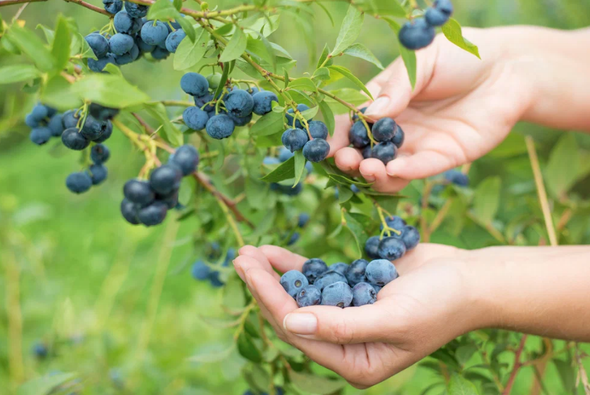 Готовимся к Летнему солнцестоянию 2023: как максимально использовать самый длинный день в году.